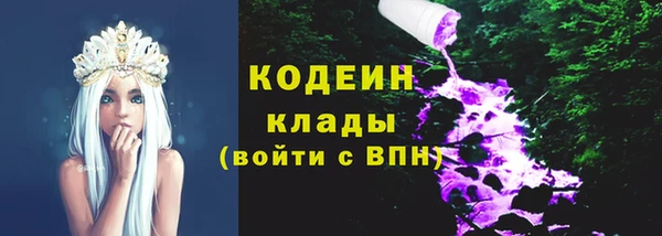 ешки Корсаков
