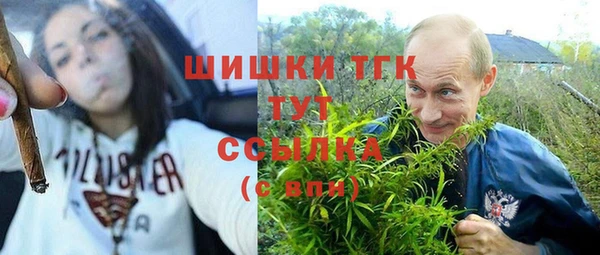ешки Корсаков