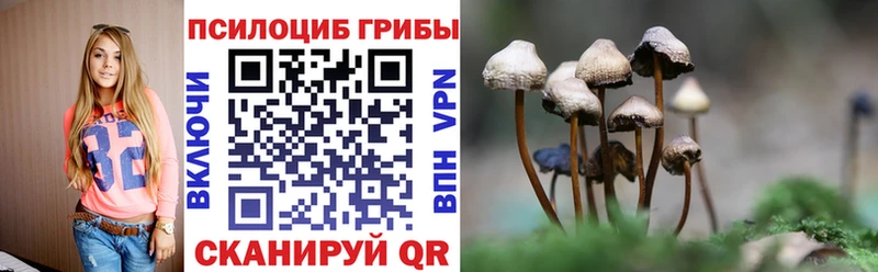Купить Лихославль Псилоцибиновые грибы GOLDEN TEACHER